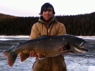 40 inch 35 lbs lake trout
