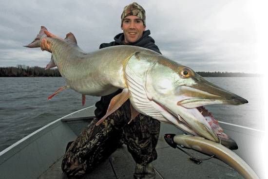 The Ever Productive Jighead-Softbait Combo for Muskie Jigging