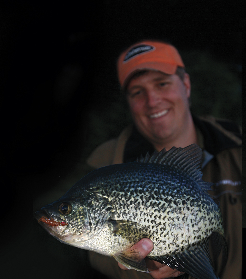 The Sight-Bite For Night Crappies