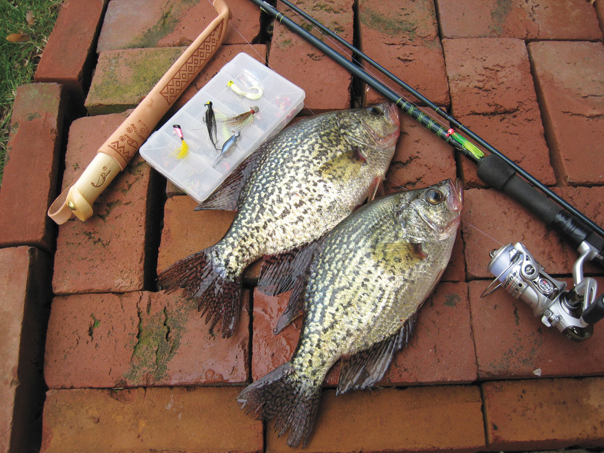Catching Crappies From Shore - In-Fisherman