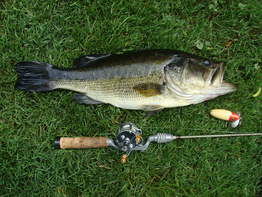 The relics of the forefathers of bass fishing to modern-day finesse