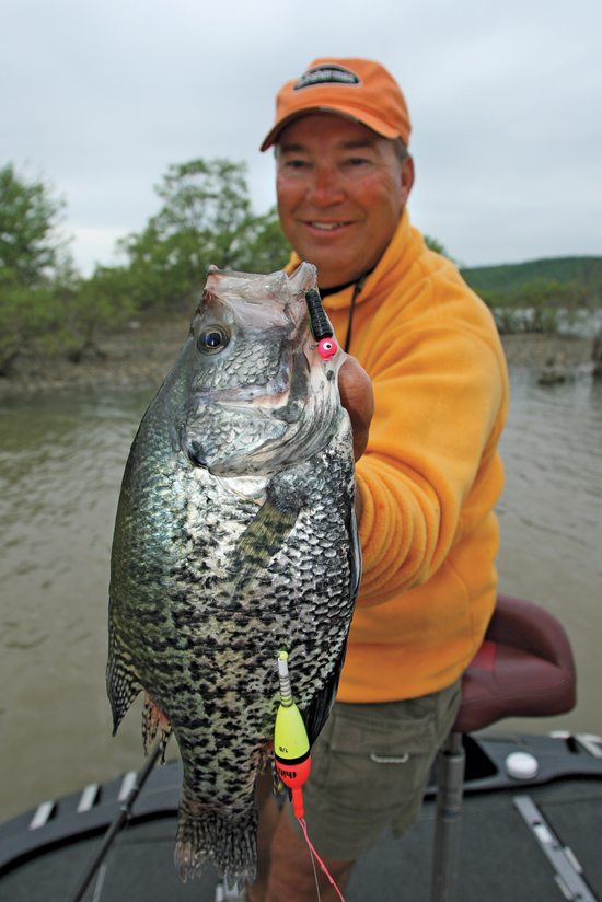 Giant Southern Crappies