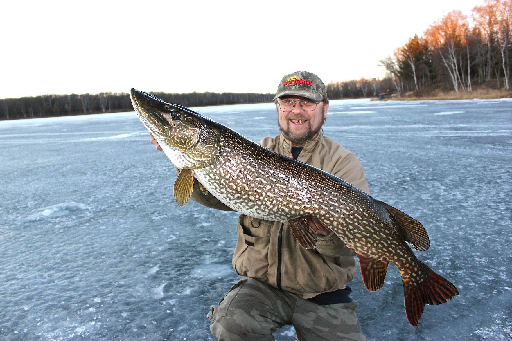 The Fifty Inch Pike