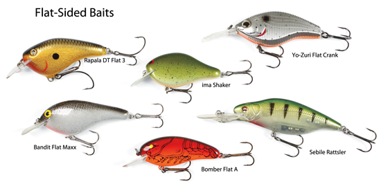 Bandit Crankbait Series 100 200 & 300 Bass Fishing Lures, Topwater Lures -   Canada