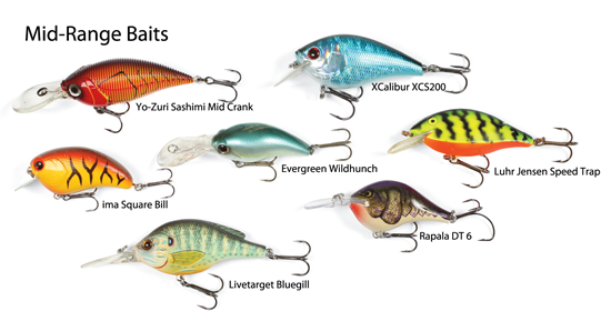 Casting Crankbaits for Springtime Bass