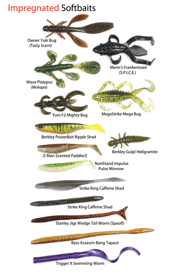 Do Scented Baits Really Catch More Bass? - Game & Fish