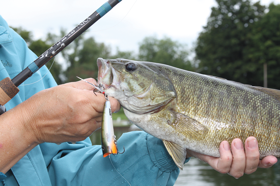 Tactical Topwater For Smallmouth Bass - In-Fisherman