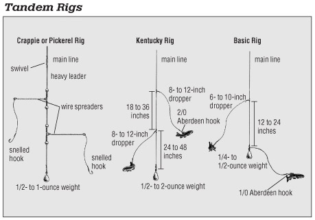 Rigging Situations: Presenting Natural Baits - In-Fisherman