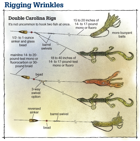 Carolina Rig & Floating Trout Worm - Other Fish Species - Bass