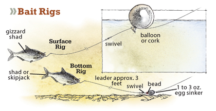 Best SKIPJACK HERRING Rig - Best way to catch Bait Fish 