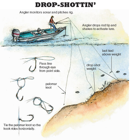 The Ways of Drop Shotting - In-Fisherman