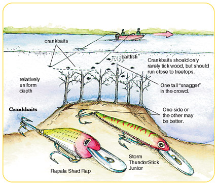 Crankbait storage tip, How to: setup trolling for walleye and  crappie.Talkin' Ship episode 1 