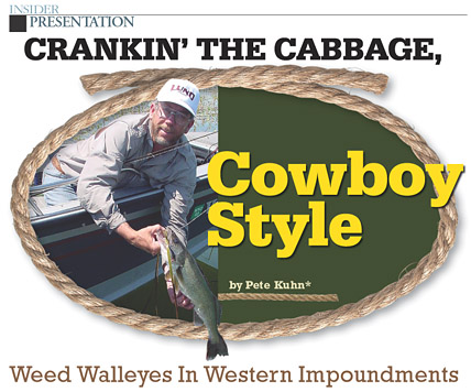 Crankin' The Cabbage