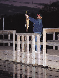 Forthwith Dock Walleyes