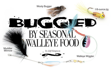 Bugged by Seasonal Walleye Food