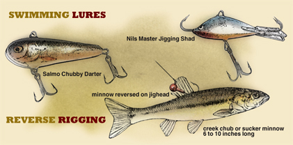 How to Fish a Minnow Style Bait - James Holst, IDO Insights