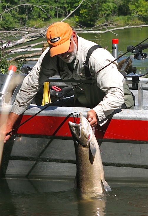 King Salmon (Kong) Bait - In-Fisherman