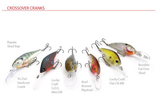 Smallmouth Crankbaits, Rivers and Lakes - In-Fisherman