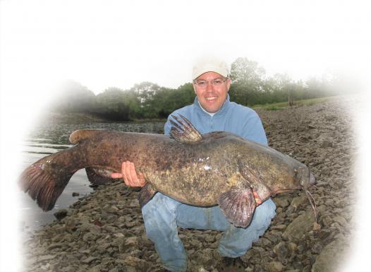 Flathead Catfish When The River Runs Slow 