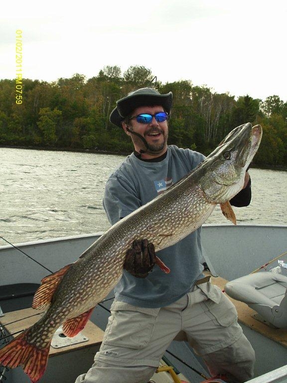 51-inch Northern Pike--Catch Of A Lifetime!