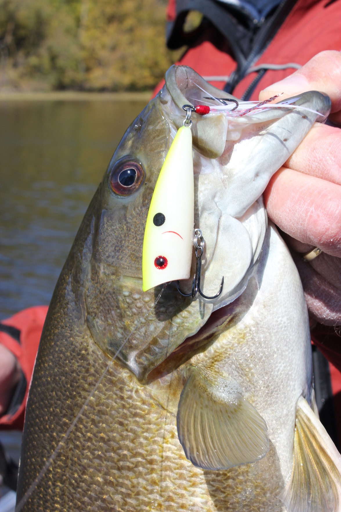 Topwater Lures For River Smallmouth
