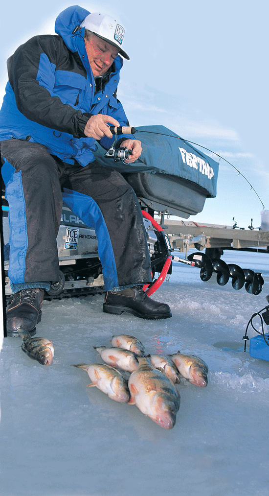 Ice Fishing Perch