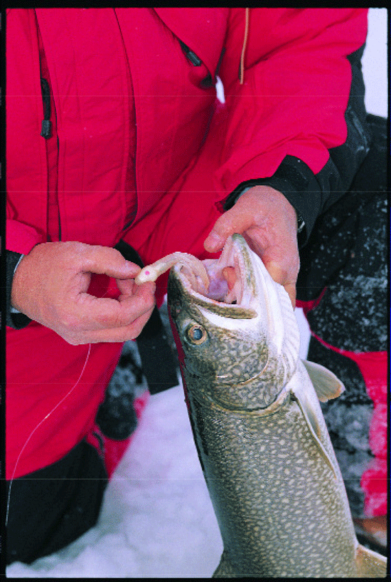 Ice Fishing For Trout