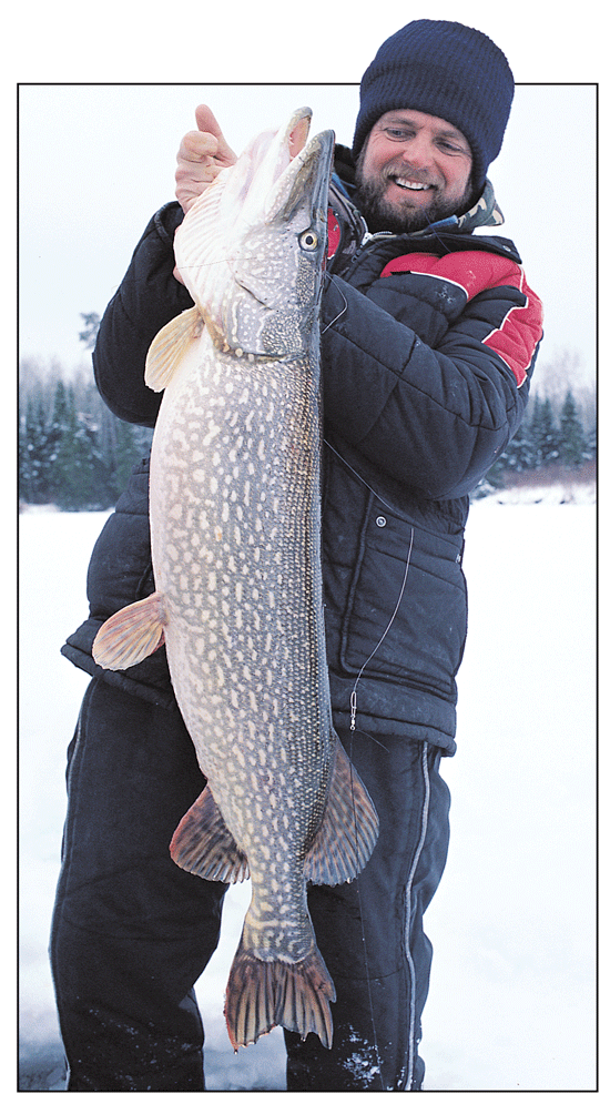 Fish (pike) Caught While Fishing On Ice Lying Next To A Short Rod