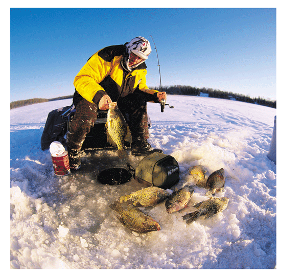 A Recent Day of Ice Fishing with Dave Genz on Lake of the Woods