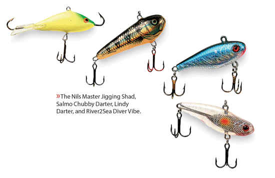 Evergreen Bank Shad Floating Lure 280 (9855)