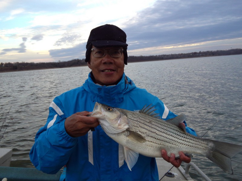 A summary of the Heartland's white bass fishing during the fall of 2012