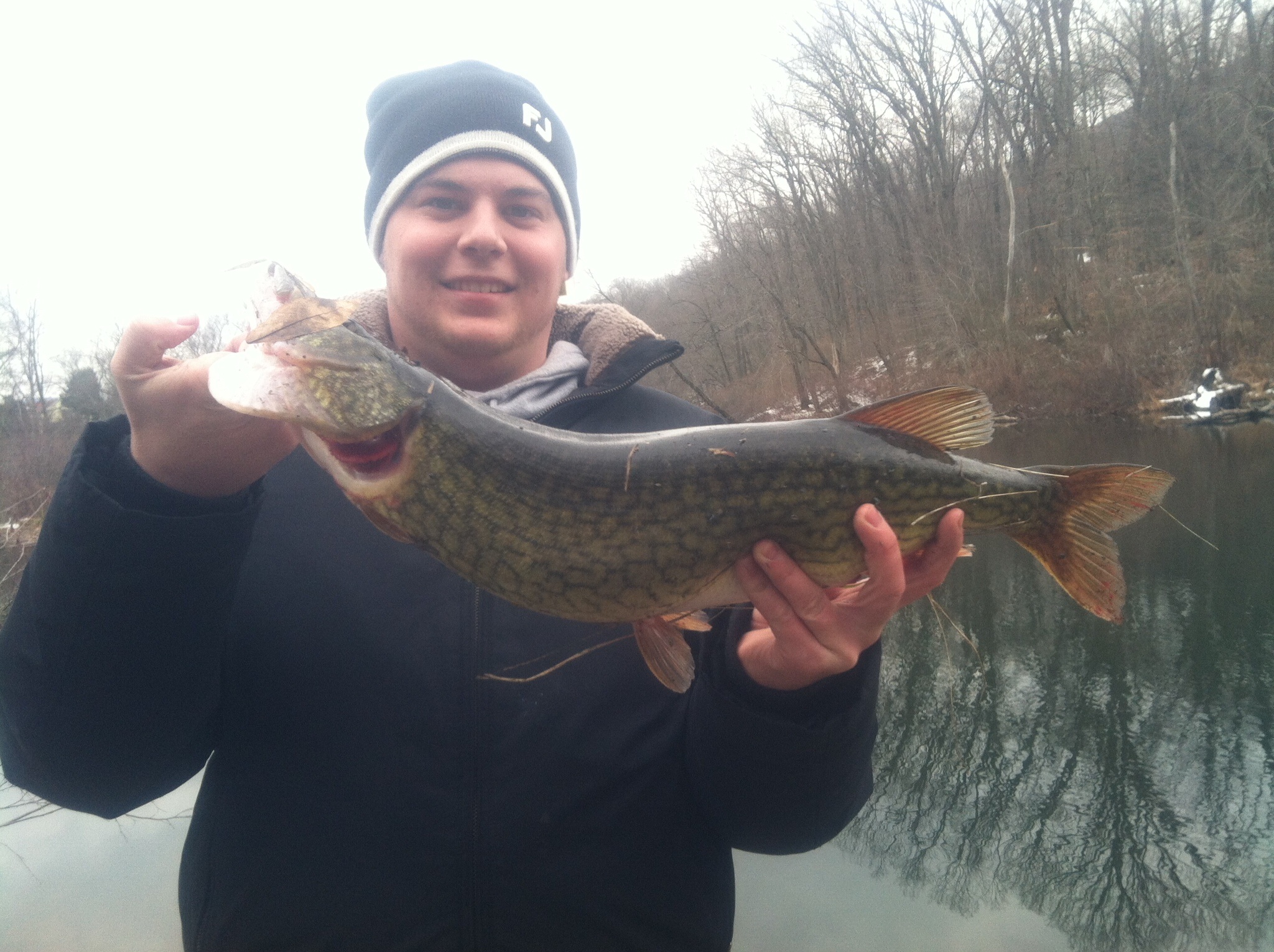 24-chain-pickerel-in-fisherman