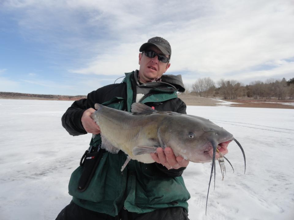 Just another channel cat on the ice!