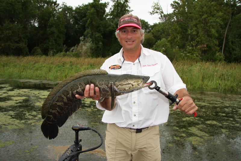 Snakehead fishing on the Potomac River and elsewhere