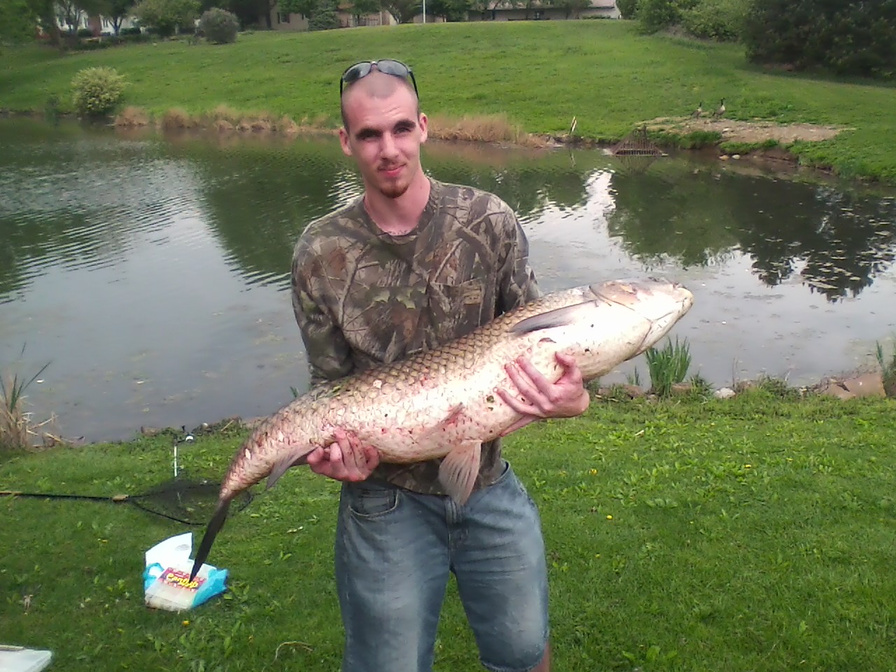 54 inch grass carp