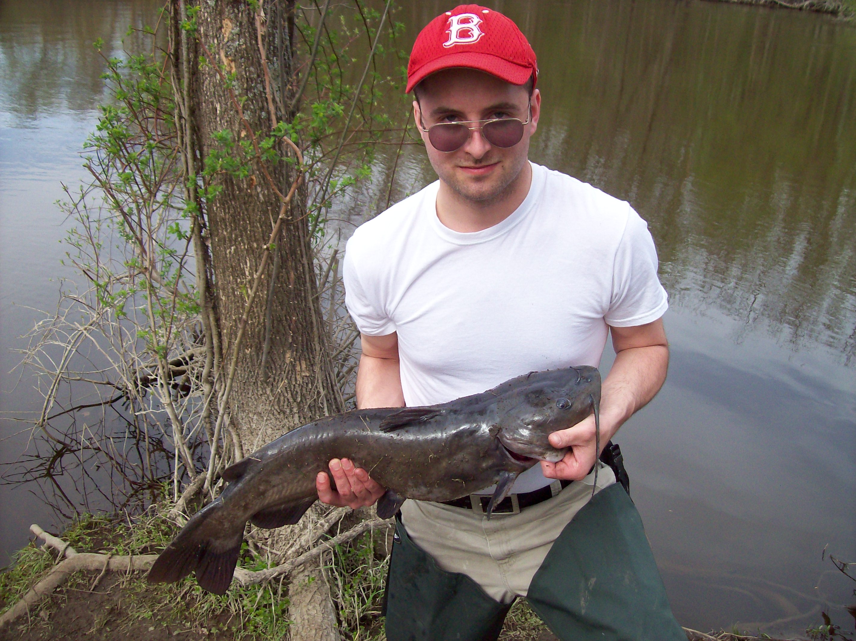 Kalamazoo River Catfish