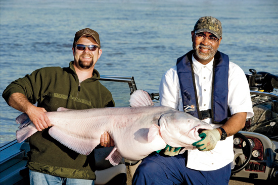 Bottoms Up on Big Blue Catfish: Southern Hospitality and the Art of Baiting  - MidWest Outdoors