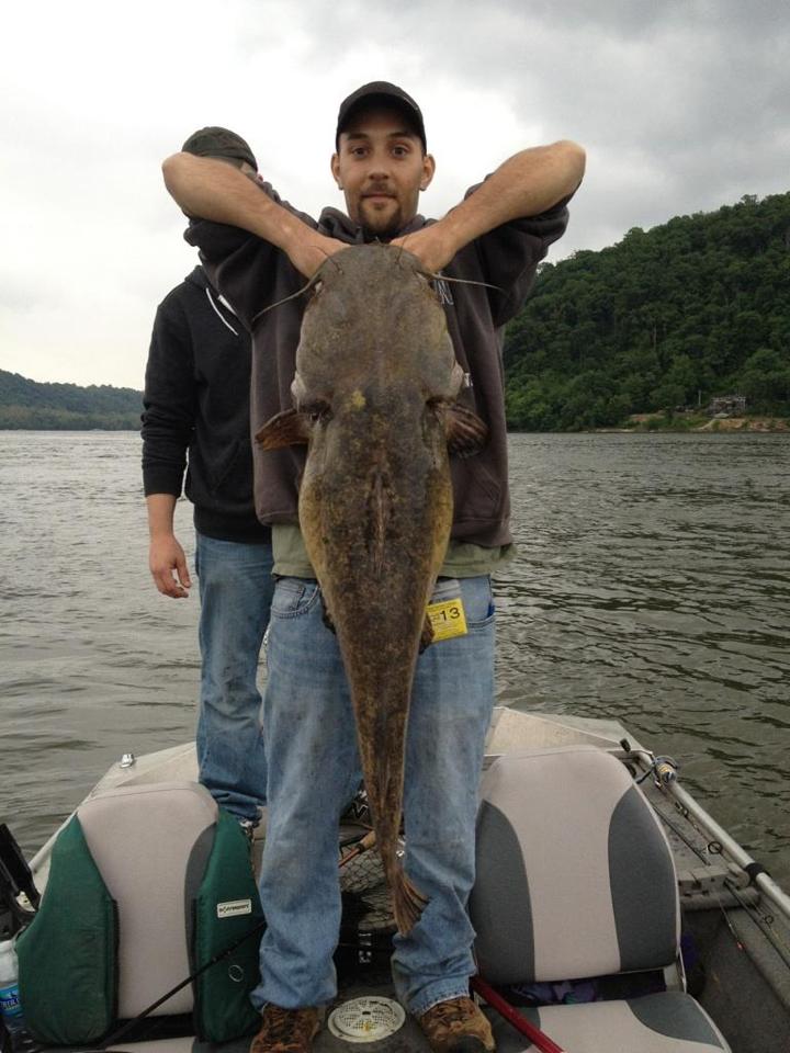 Susquehanna River Monster