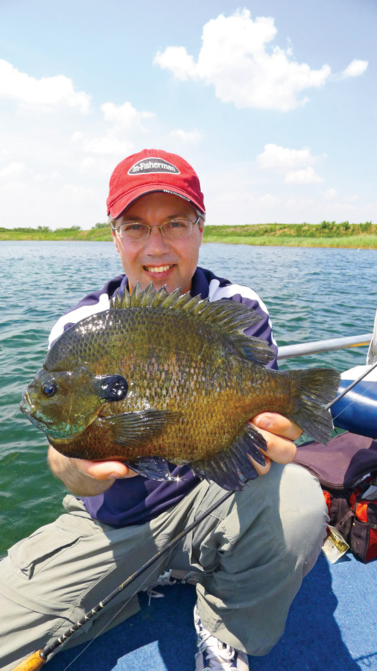 Fly Fishing BIG Bluegill with POPPERS! HUGE Panfish! 
