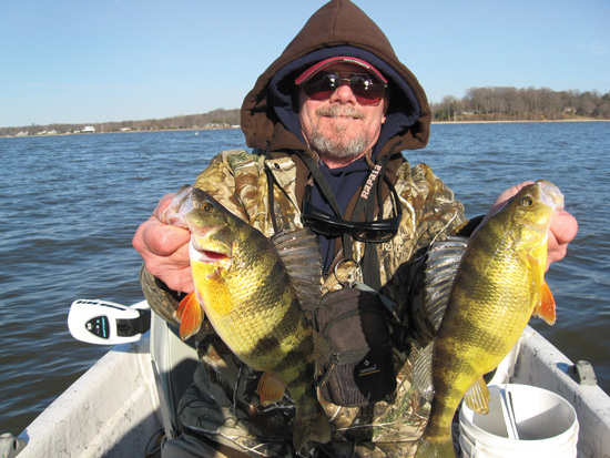 Winter Yellow Perch Fishing at Tidal Creeks