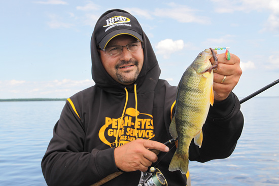 Fall Perch Fishing Tips