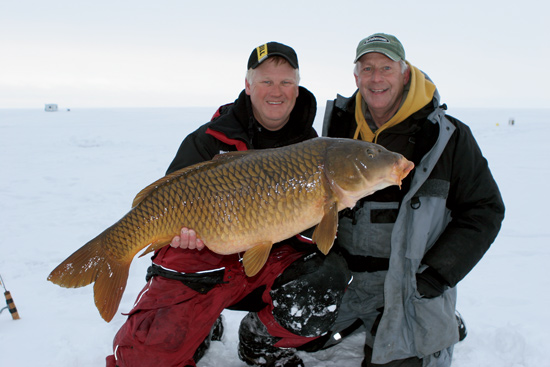 ice fishing for carp