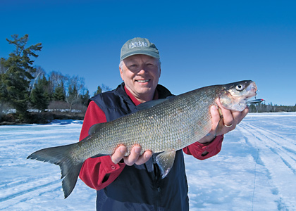 Chasing Phantoms: Hook Whitefish This Ice Fishing Season - In