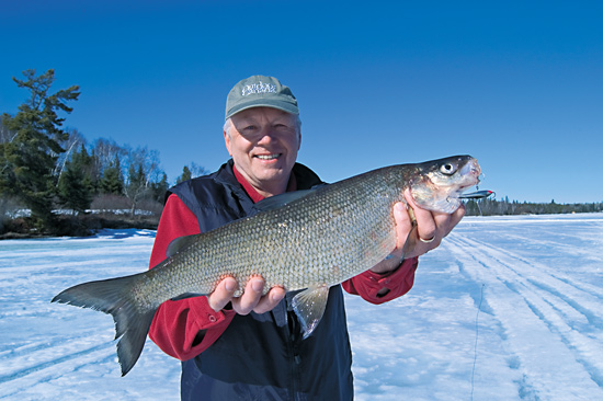 Chasing Phantoms: Hook Whitefish This Ice Fishing Season - In-Fisherman