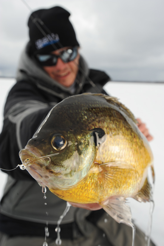 The Clear Connection for Panfish Lures - In-Fisherman
