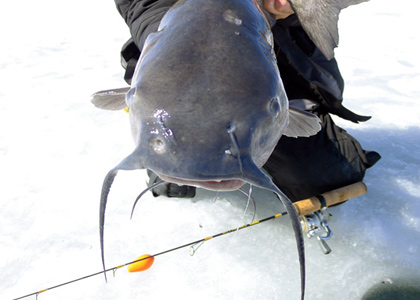 Ice Fishing Catfish