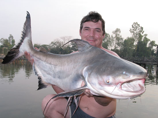 Thailand Catfish: Kings of The Mekong River