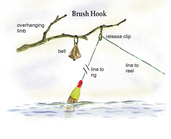 8 Best Catfish Rigs - When, Where and How to Use Them
