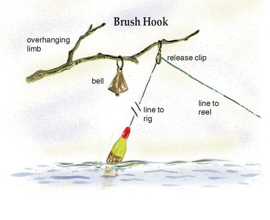 8 Best Catfish Rigs - When, Where and How to Use Them - In-Fisherman