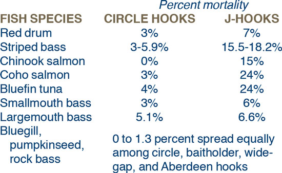 Circle Hook Science In Fisherman Catfish Circle Hooks